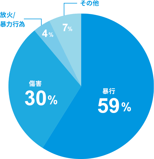 円グラフ:2020年のDV事案の検挙状況