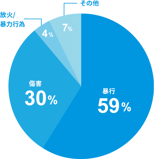 円グラフ：2020年のDV事案の検挙状況