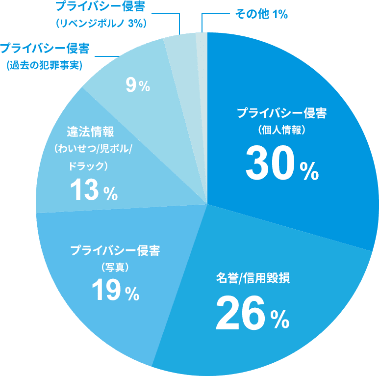 円グラフ：2019年のインターネット関連相談