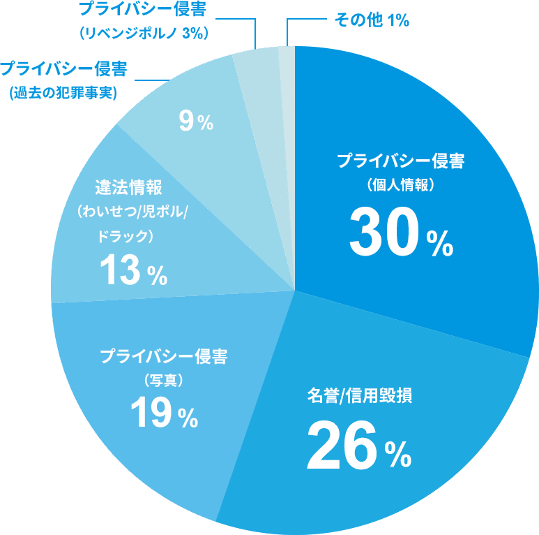 円グラフ:2019年のインターネット関連相談